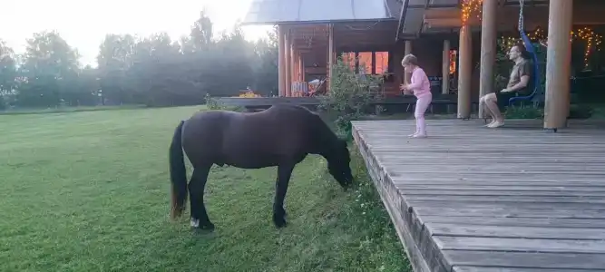 Конь у террасы большого дома